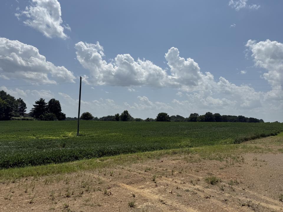 Claude Tucker Rd, Union City, تينيسي 38261, الولايات المتحدة