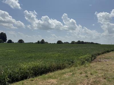 Claude Tucker Rd, Union City, تينيسي 38261, الولايات المتحدة