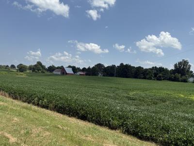 Claude Tucker Rd, Union City, تينيسي 38261, الولايات المتحدة
