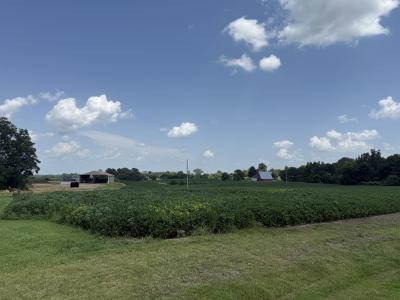 Claude Tucker Rd, Union City, تينيسي 38261, الولايات المتحدة