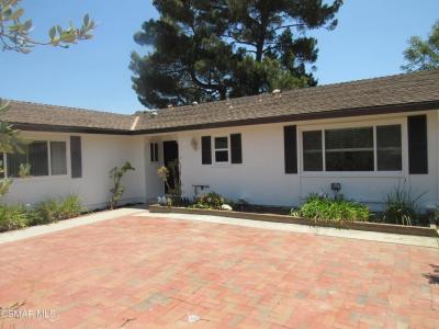 428 Walter Avenue, Newbury Park, 加州 91320, 美國