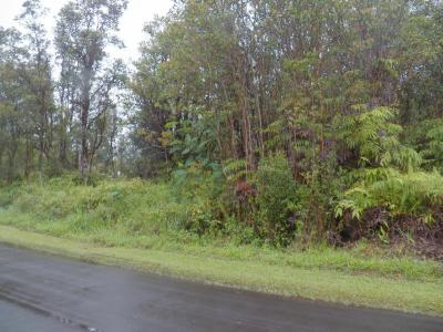 Lot 7750, Pikake St, Mountain View, 하와이 96771, 미국