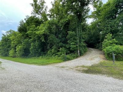 12 +/- acres Landing, Lebanon, Missouri 65536, USA