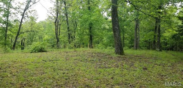 12 +/- acres Landing, 黎巴嫩, 密苏里州 65536, 美国