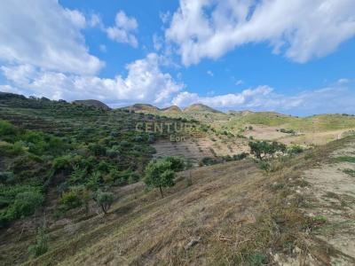 Spitallë, Durrës, Albanie