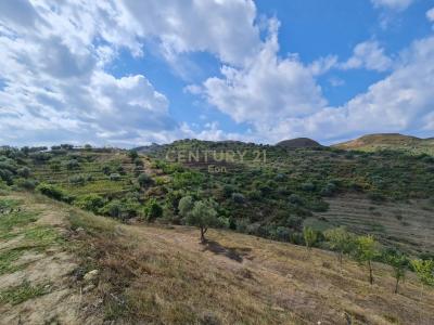 Spitallë, Durrës, Albanie