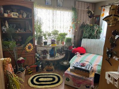 207 2 AVENUE N, Morrin, Alberta T0J 2B0, Canada