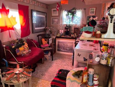 207 2 AVENUE N, Morrin, Alberta T0J 2B0, Canada