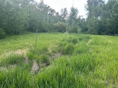 Rm of Rosedale, Neepawa, 马尼托巴 R0J 1H0, 加拿大