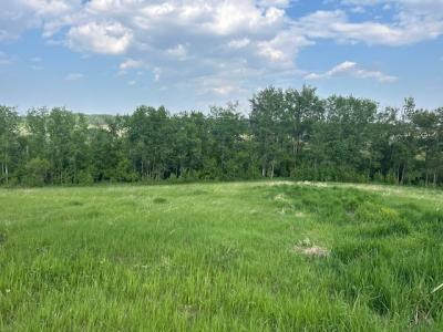 Rm of Rosedale, Neepawa, 马尼托巴 R0J 1H0, 加拿大