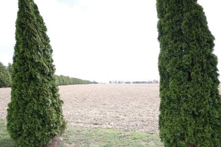 29133 CENTRE SIDE ROAD, Chatham-Kent-, 온타리오주 N0P 2M0, 캐나다