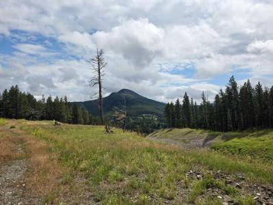 5302 19TH AVENUE, Coleman, Alberta T0K 0M0, Canada