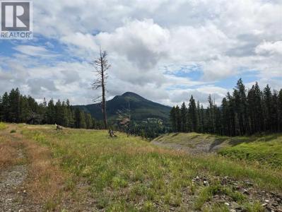 5302 19TH AVENUE, Coleman, Alberta T0K 0M0, Canada