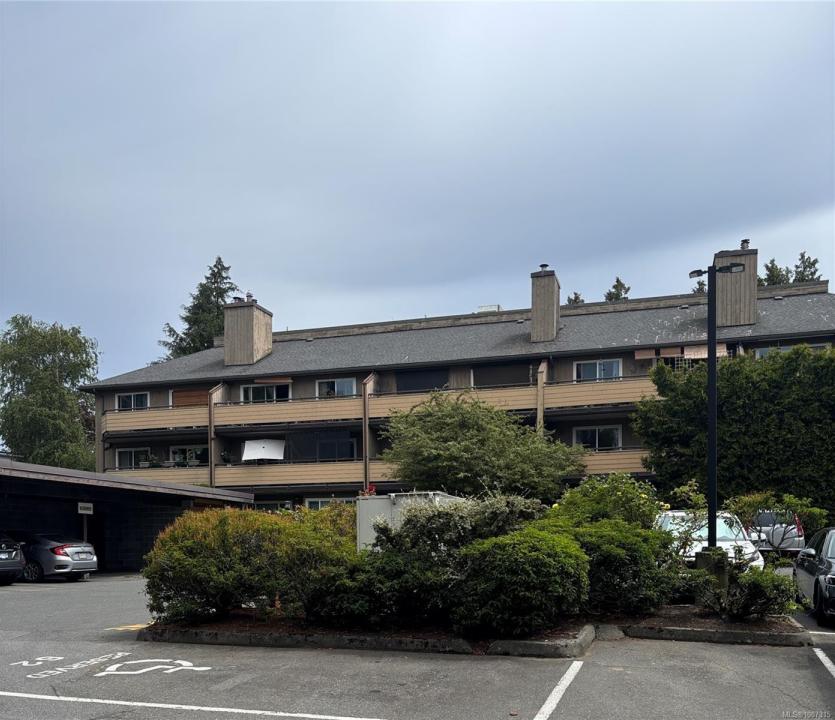 3225 ALDER ST, Victoria, 不列颠哥伦比亚省 V8X 1P3, 加拿大