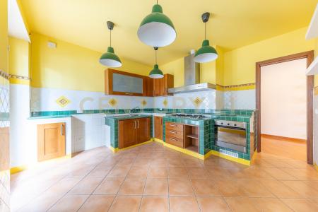 Via Leonessa, Rome, Lazio 00118, إيطاليا