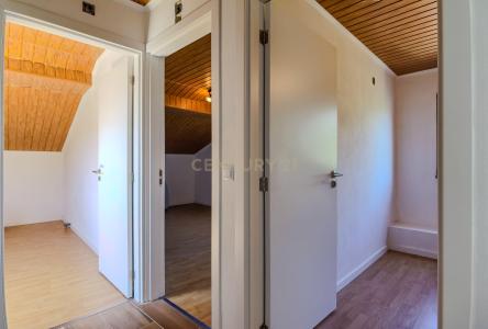 Penalva Do Castelo, 維塞島 3550-050, 葡萄牙