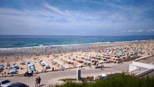 Torres Vedras, Lisbon 2560-487, Portugal