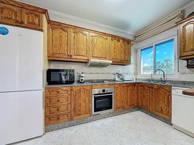 Alacant/Alicante, Comunitat Valenciana 03189, إسبانيا