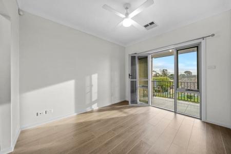 24 Mcilvenie Street, Canley Heights, NSW 2166, Avustralya