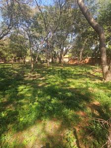 C CAÑADA DEL CARMEN CASI SAN MARCOS , Luque, Central 00001, Paraguay