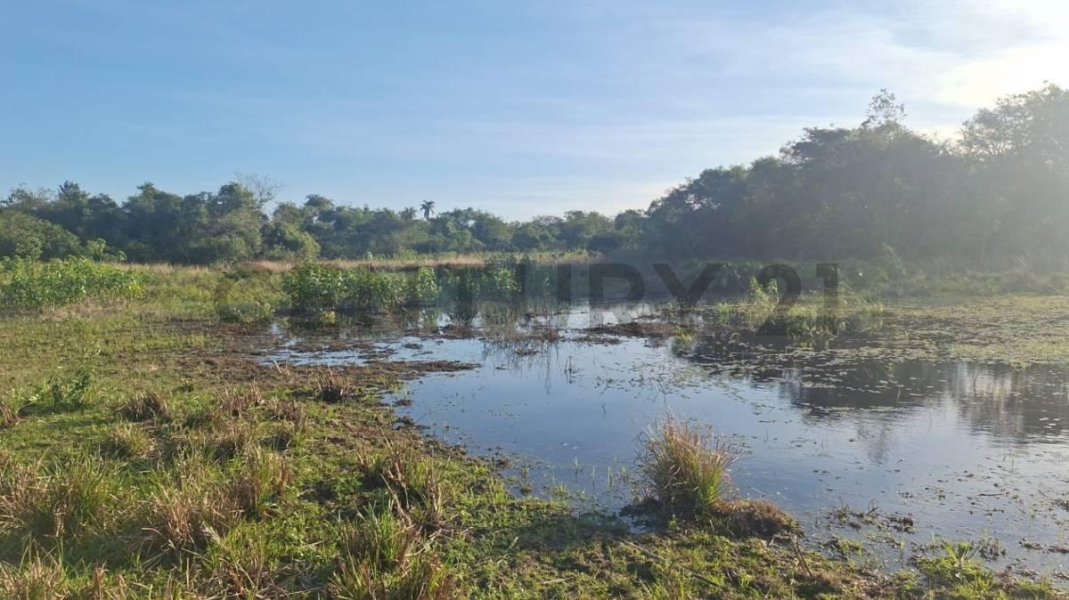 Ingles Cue , Nueva Colombia, Cordillera 00001, Paraguai