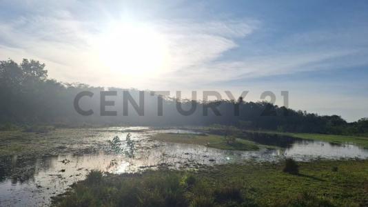 Ingles Cue , Nueva Colombia, Cordillera 00001, Paraguai