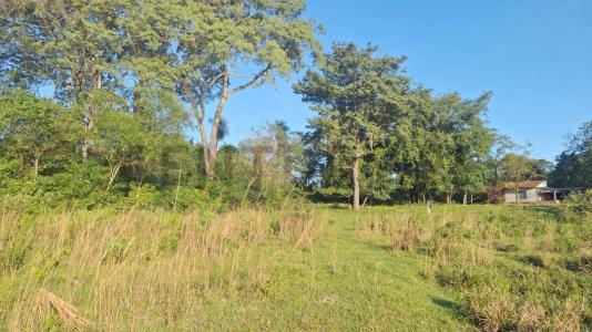 Ingles Cue , Nueva Colombia, Cordillera 00001, Paraguai