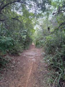 Ingles Cue , Nueva Colombia, Cordillera 00001, Le Paraguay