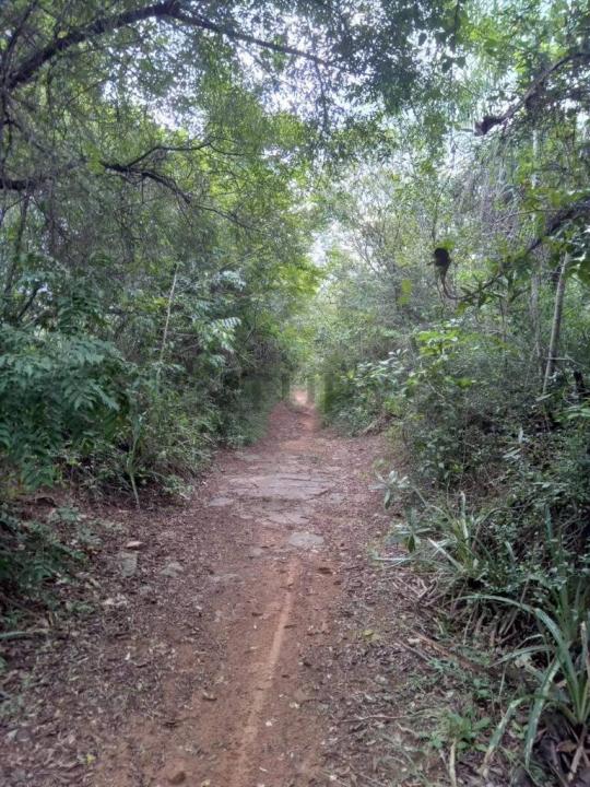 Ingles Cue , Nueva Colombia, Cordillera 00001, Paraguai