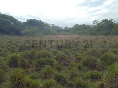 Ingles Cue , Nueva Colombia, Cordillera 00001, Paraguai