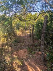 Ingles Cue , Nueva Colombia, Cordillera 00001, Paraguai
