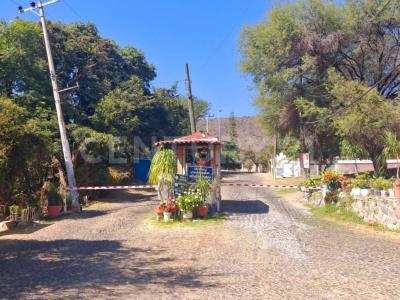 Brisas Poniente 14,, Chapala, Jalisco 45901, Mexico