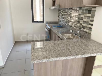 Abedul (Esmeralda 16) ,, San Mateo Atenco, 墨西哥州 52104, 墨西哥
