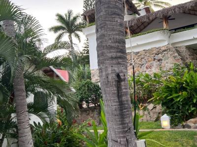 Almendros s/n, Fraccionamiento Las Lomas del Mar s/n,, Manzanillo, Colima 28868, Mexique