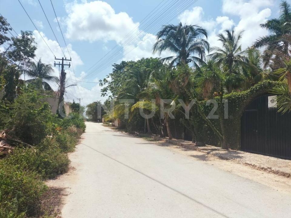 chapultepec ,, Cancún/Benito Juárez, Quintana Roo 77560, Meksika