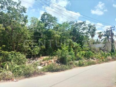 chapultepec ,, Cancún/Benito Juárez, Quintana Roo 77560, Meksika