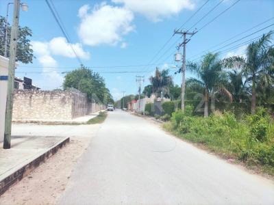chapultepec ,, Cancún/Benito Juárez, Quintana Roo 77560, Meksika
