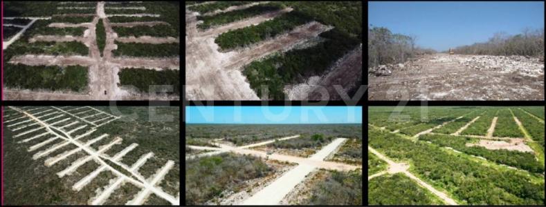 TABLAJE 31546 0,, Progreso, Yucatan 97334, Mexique