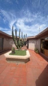 Cajeme, Sonora 85000, Mexique