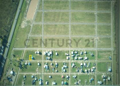 el alamo , Alvear, Santa Fe 00001, ארגנטינה