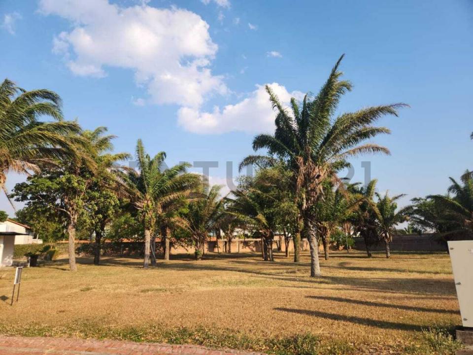 CONDOMINIO FLORESTA DEL URUBO , Urubo, Santa Cruz 00001, 玻利维亚
