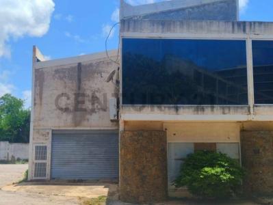 El Pilar (Los Robles), Nueva Esparta 6316, Venezuela