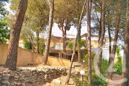 Beaucaire, Languedoc-Roussillon 30300, 法国