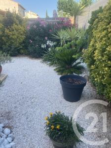 Pezenas, Languedoc-Roussillon 34120, Франция