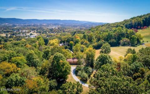 566 Old Spencer Rd. - 20 Acres, Pikeville, Tennessee 37367, USA