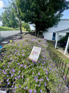 116 Nichols Street, Clarks Summit, Pennsylvania 18411, Estados Unidos