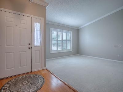 4625 RIVER RIDGE DRIVE, LEESBURG, Florida 34748, USA