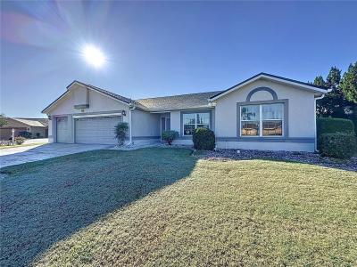 4634 SUMMERBRIDGE CIRCLE, LEESBURG, Florida 34748, Estados Unidos