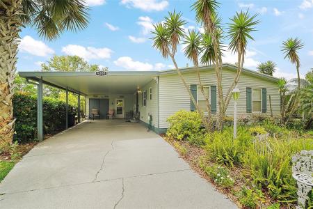 5300 TIGERS TAIL, LEESBURG, Florida 34748, USA