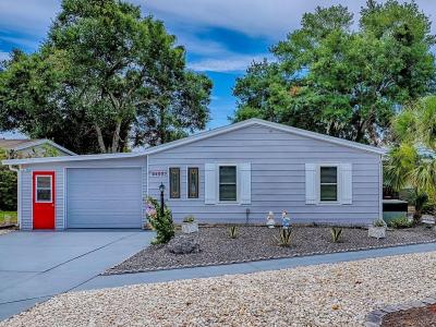 25007 BELLEVUE, LEESBURG, Флорида 34748, Соединенные Штаты
